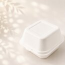 Bento midi Cake Box 15,5  x 16  x 11 cm