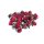 Rosie Rose Deko Rosenblüten mini Red Cherry - Home 20gr