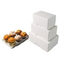 Patisserie Törtchenbox  mit Tablett - 22  x 33  x 10 cm