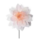 Premium Wafer Flower - Dahlia Large - 1 Stk.