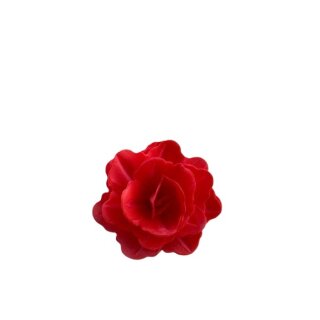 Premium Wafer Flower - Garden Rose - 12 Stk.
