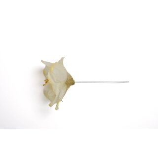 Premium Wafer Flower - Peony Medium - 2 Stk.