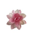 Premium Wafer Flower - Middlemist Camelie - 1 Stk