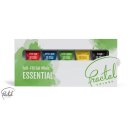 Fractal Colors Minis 5 x 12g Set Gelfarbe Lebensmittelfarbe