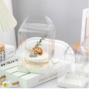 Kuchen Box transparent Tortenverpackung - 17x17x12,5 cm -...