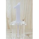Cake Topper Acryl Blush Nr. 1-10 - AUSWAHL
